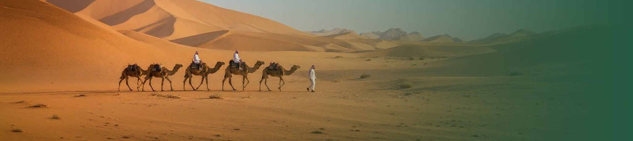 قافلة إبل في الصحراء مع مساحة لمنصة إبل